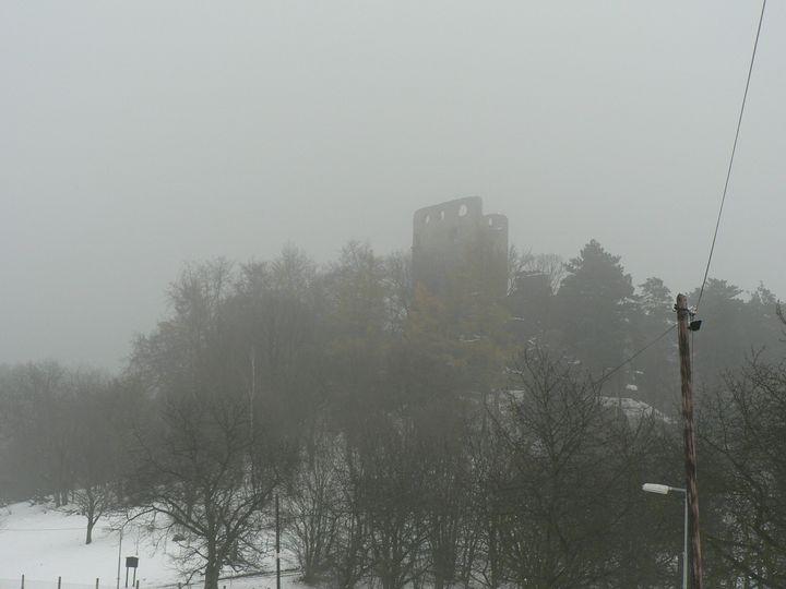 P1100135.JPG