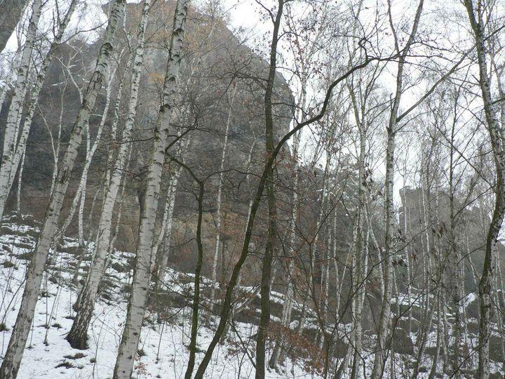 P1100184.JPG