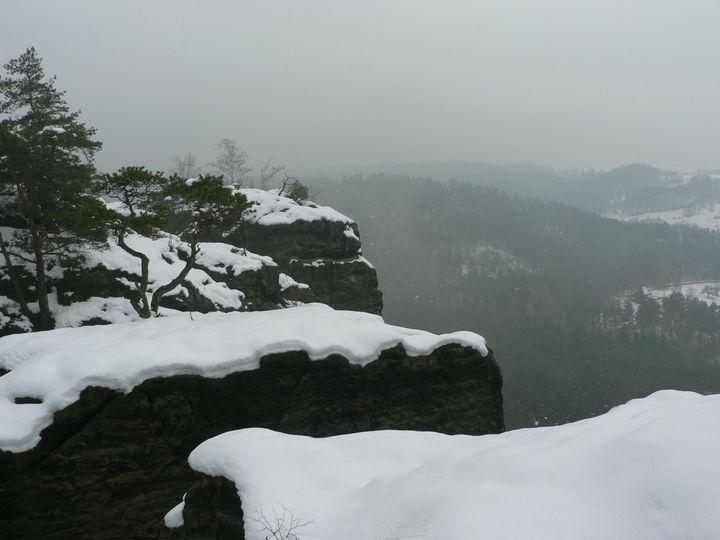 P1100210.JPG