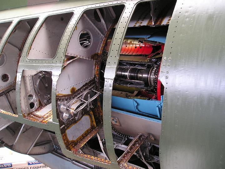 P8111174.JPG