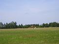 P8070681
