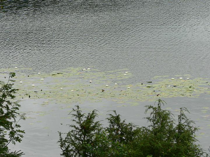 P1080027.JPG