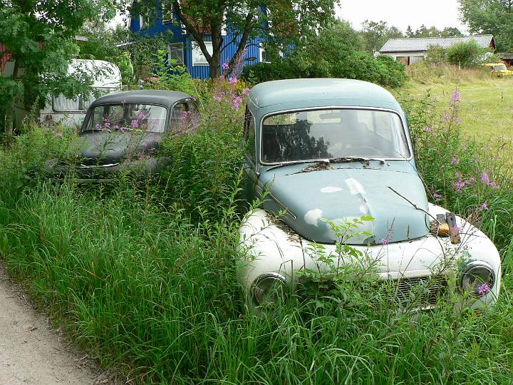 P1080060.JPG