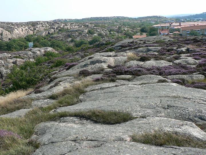 P1080194.JPG