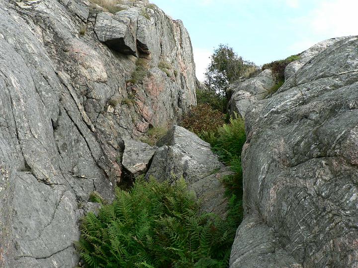 P1080302.JPG