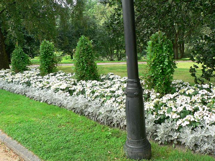 P1080527.JPG