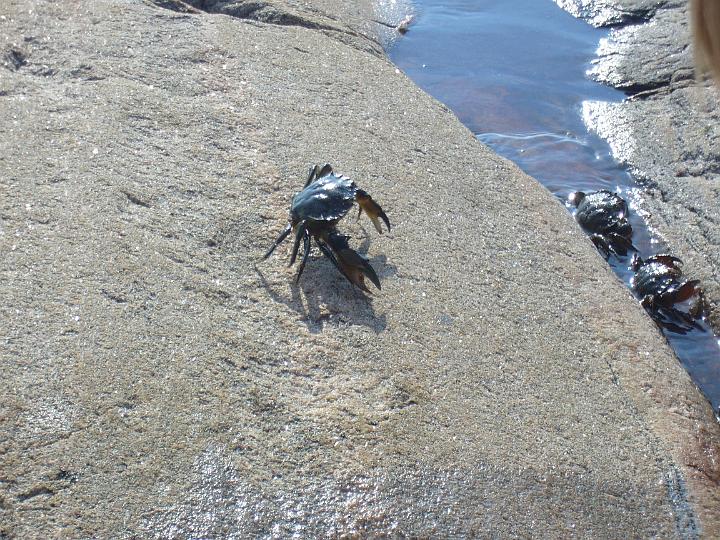 P1000120.JPG