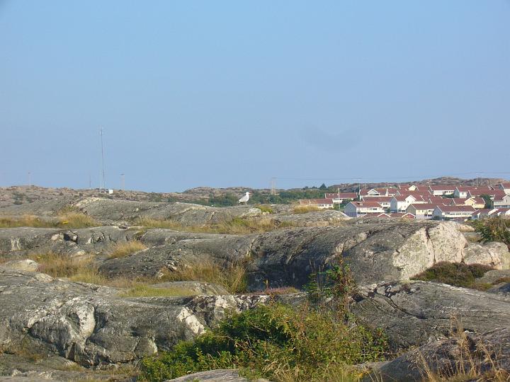 P1000124.JPG