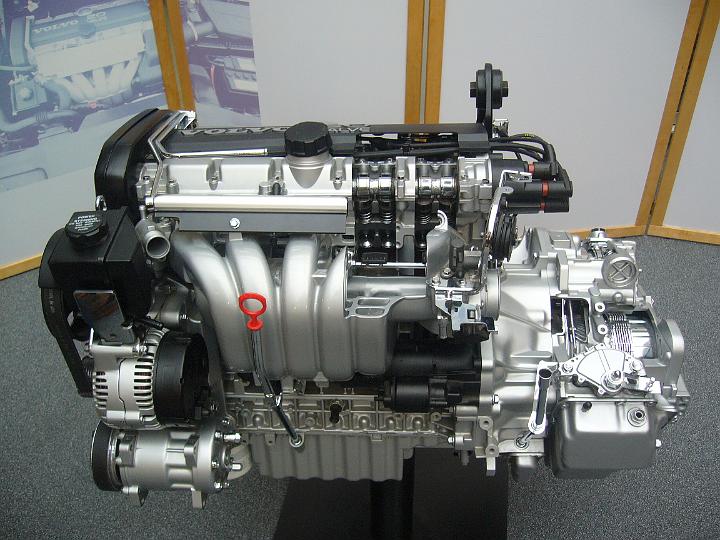P1000248.JPG