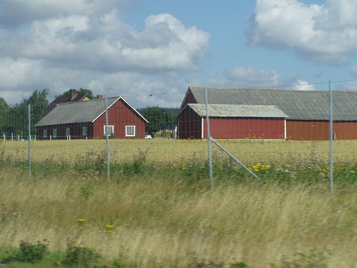 P8040044.JPG