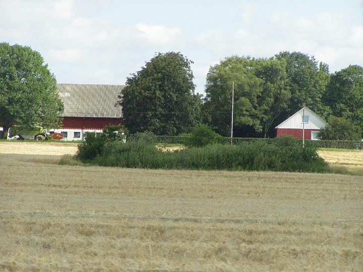 P8040054.JPG