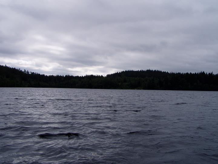P8050077.JPG