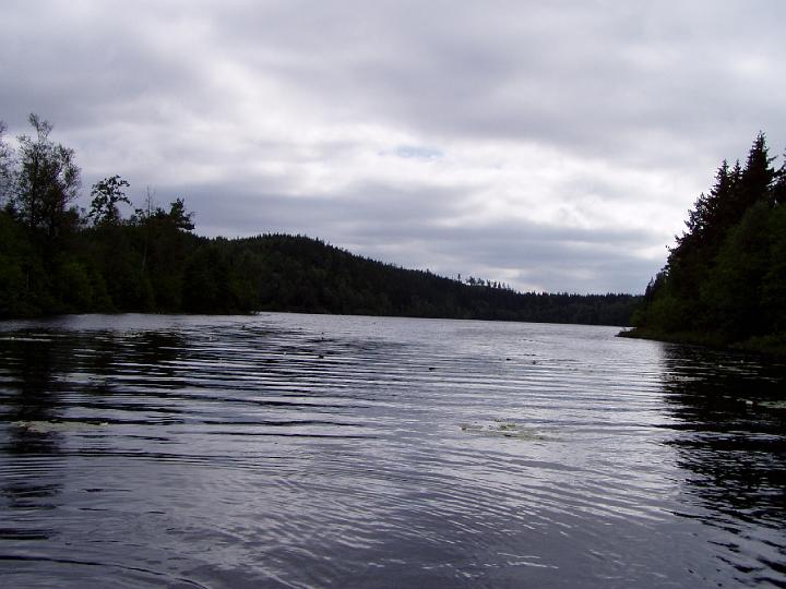 P8050088.JPG