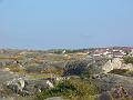 P1000124