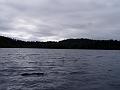 P8050077
